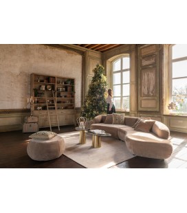 Bibliothèque bois naturel avec échelle de style provençal, grand salon beige et effet de pierre
